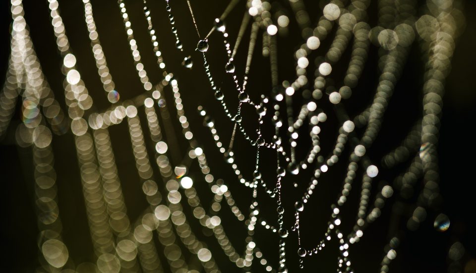 What is The Dark Web