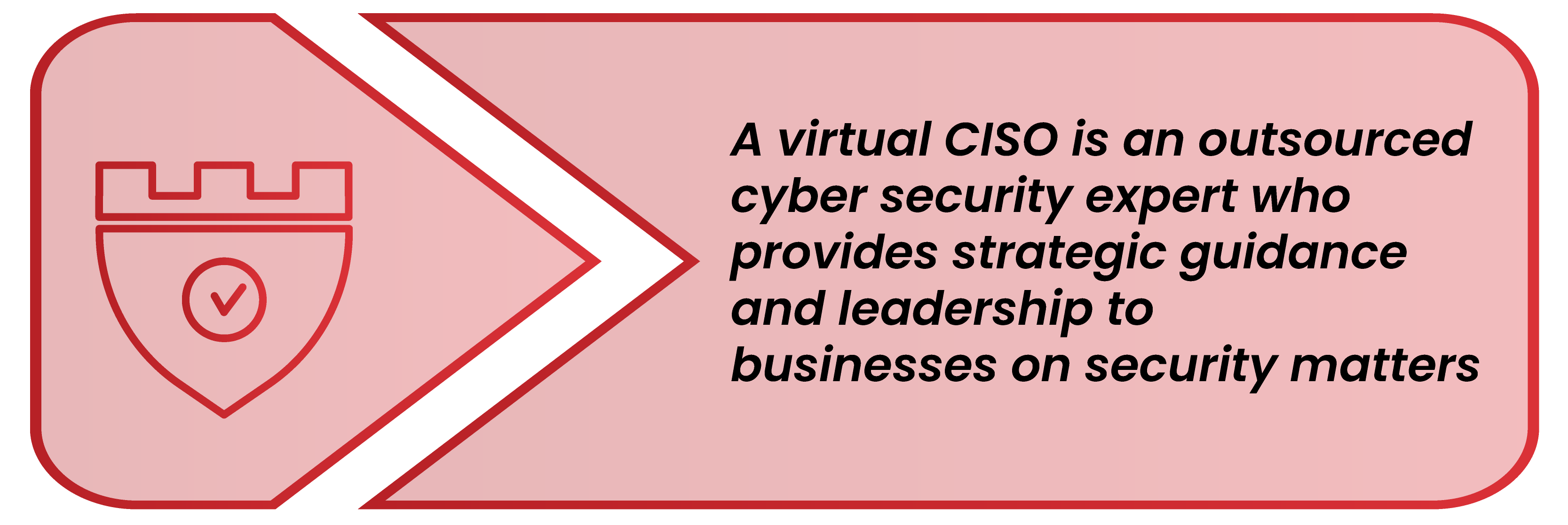 What is a Virtual CISO?